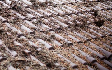 Pentre Coed roof cleaning companies