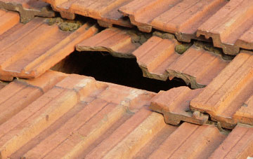 roof repair Pentre Coed, Shropshire