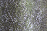 Pentre Coed fibreglass roof work